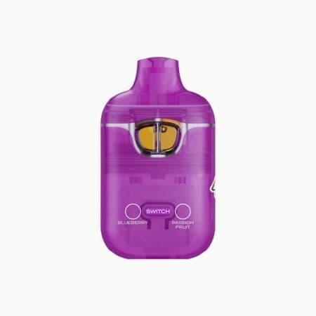 Passion Fruit x Blueberry Boutiq Switch V3 – 2G Disposable Vape - Official Boutiq Switch